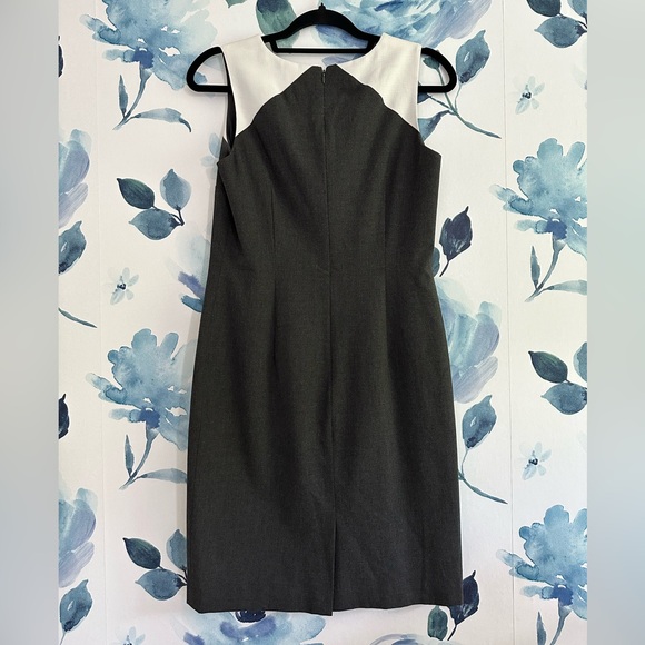 EUC ANN Taylor Shift Dress - Picture 3 of 4